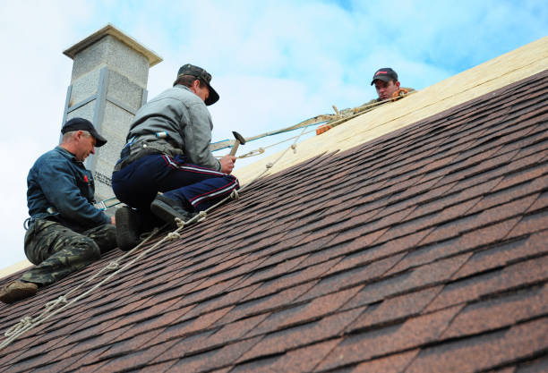 Gutter Installation and Roofing in Mason, TN